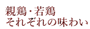 親鶏・若鶏それぞれの味わい