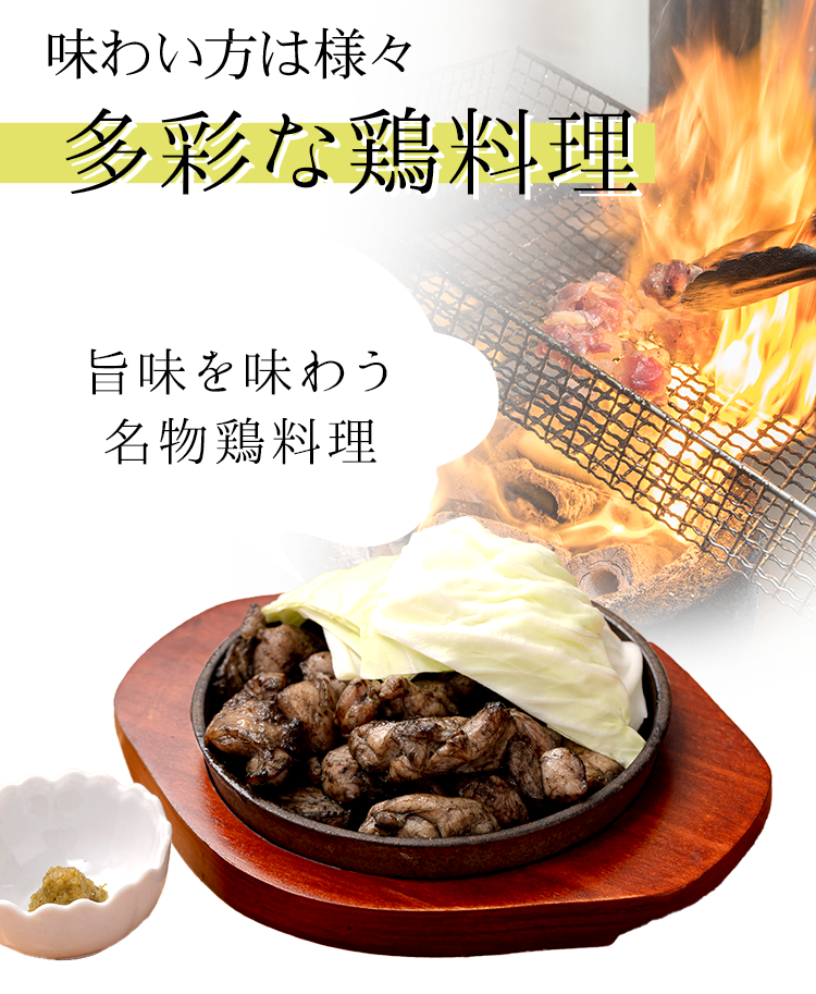 旨味を味わう名物鶏料理
